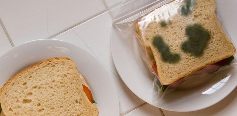 Anti-Theft Lunch Bags - The Index Project