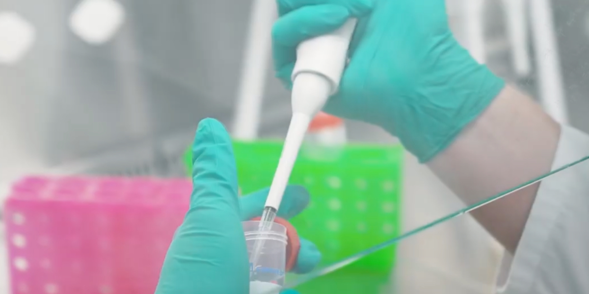 Alcolase The Index Project